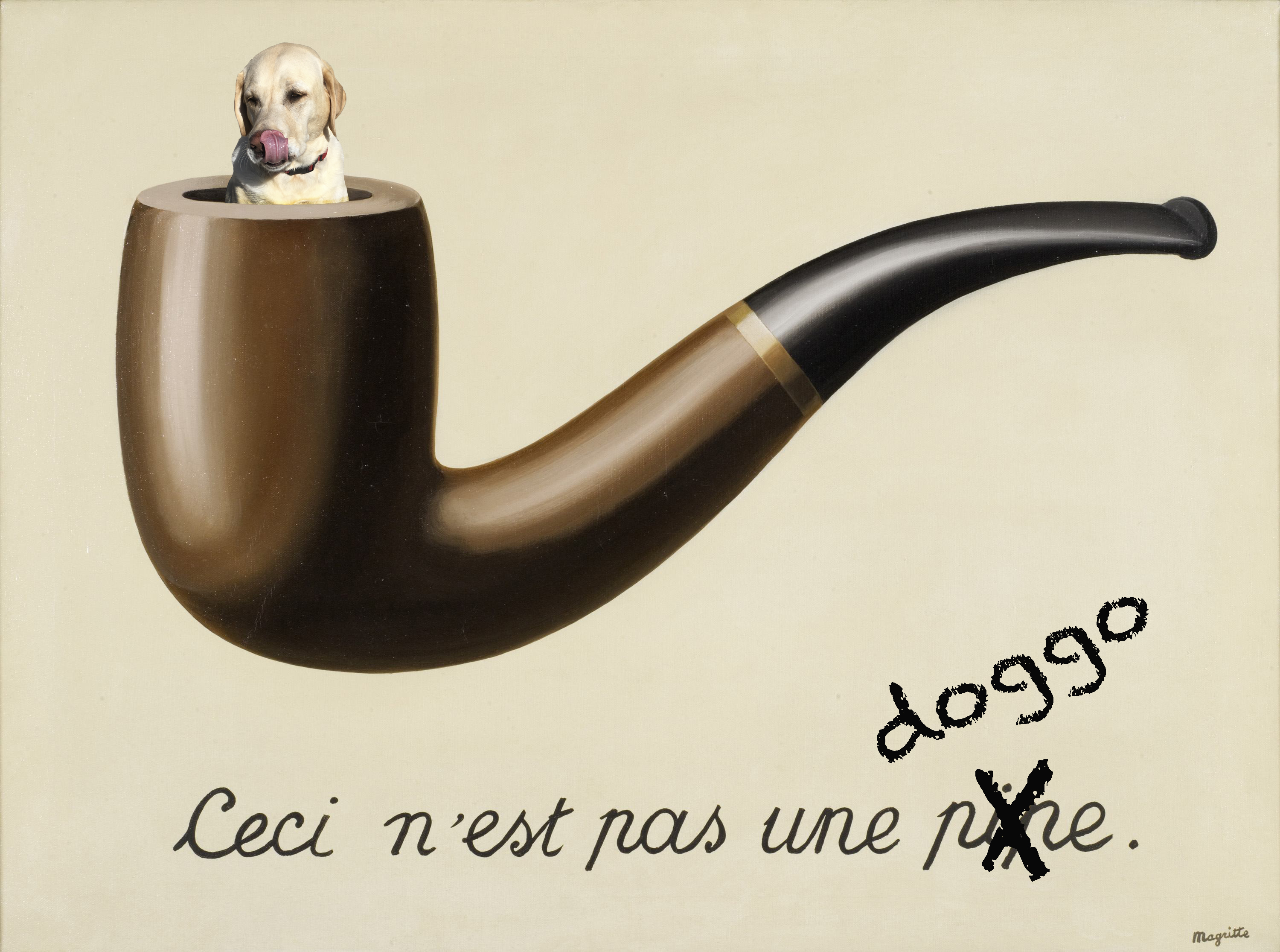 Ceci n'est pas une doggo