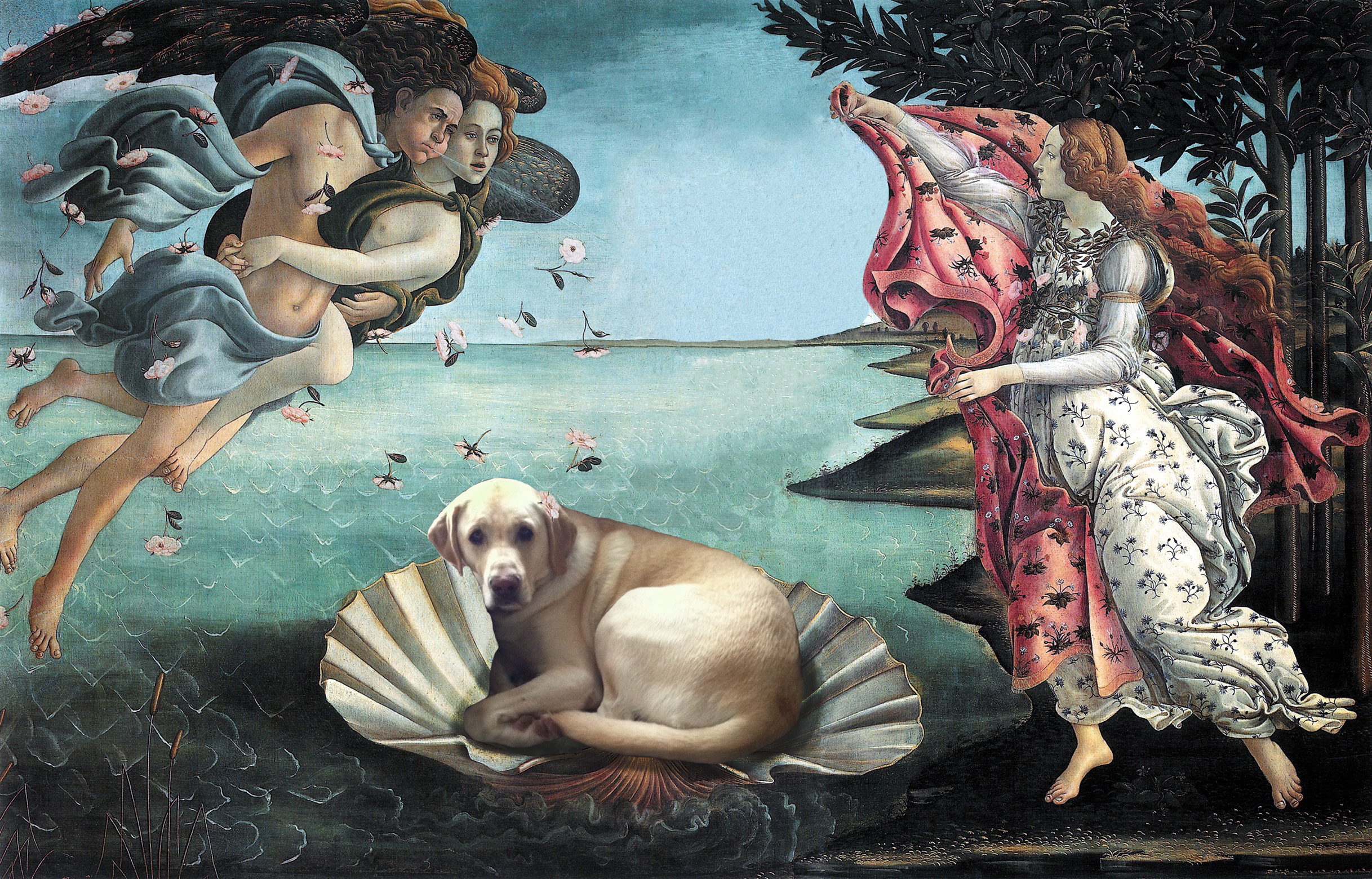 Birth of Gus