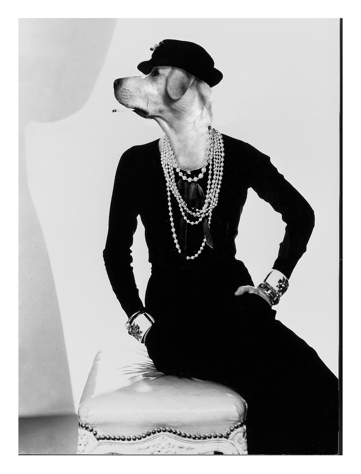 Chanel8