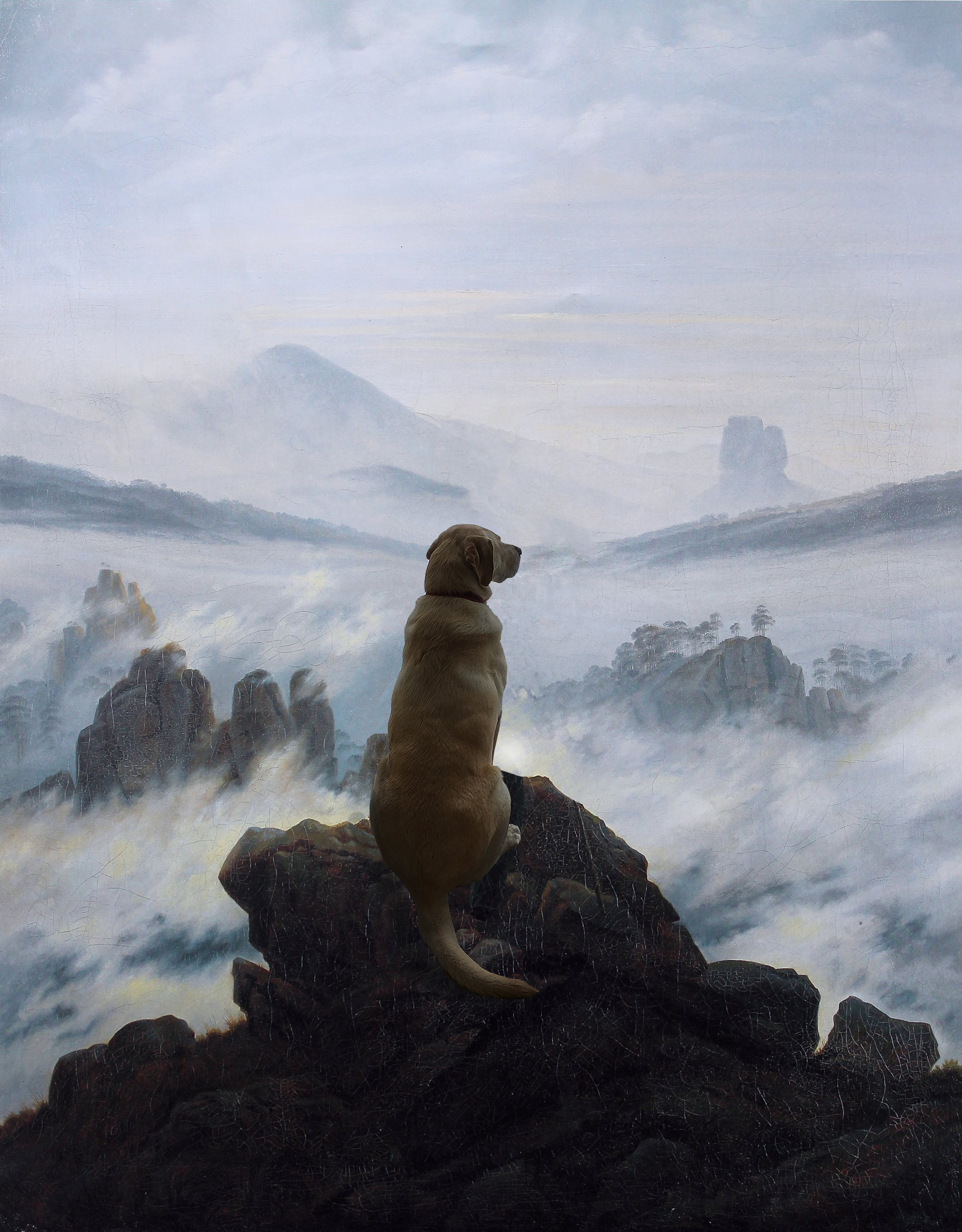 Gussy Above the Sea
