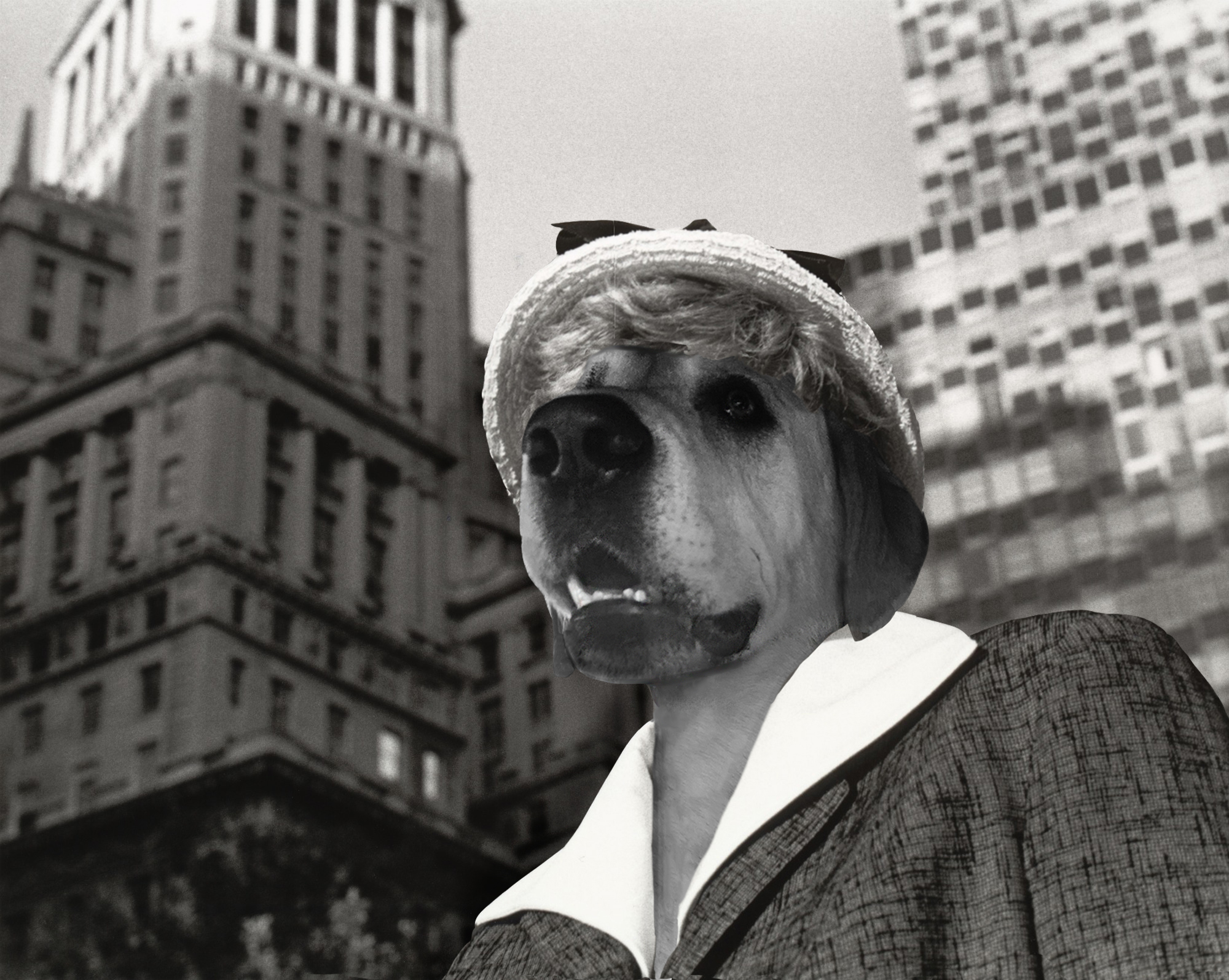 Gussy Sherman