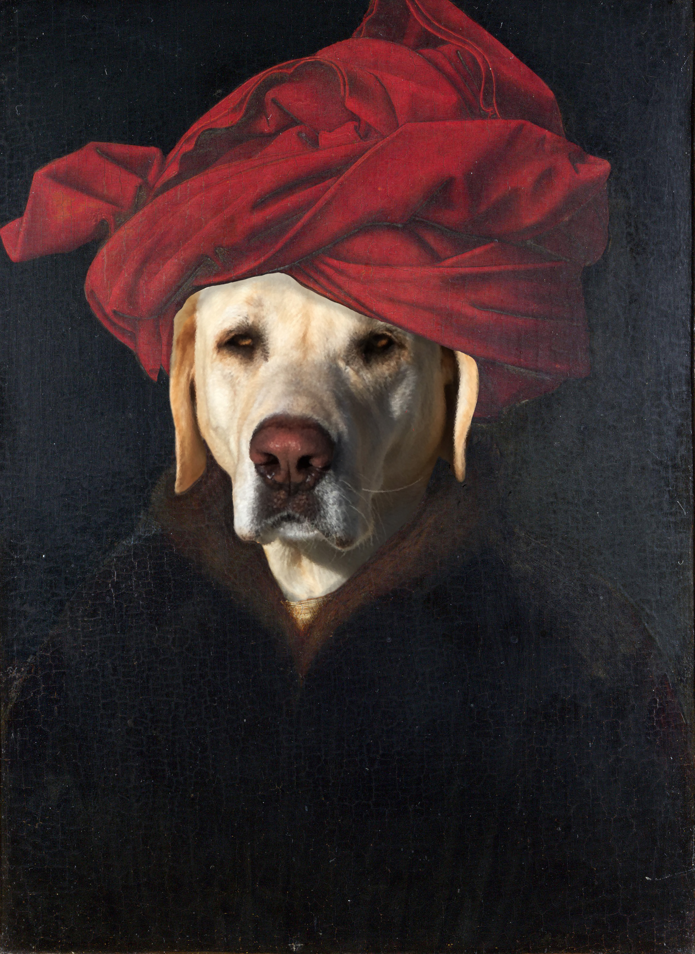 Gussy Van Eyck
