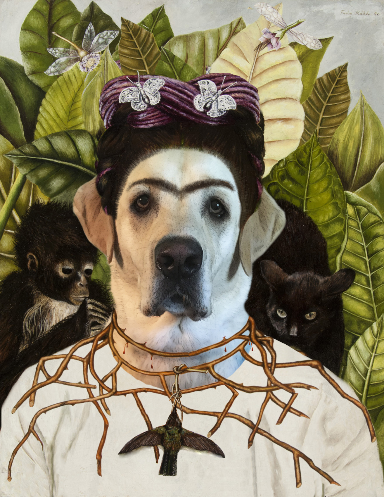 Fridog Kahlo copy